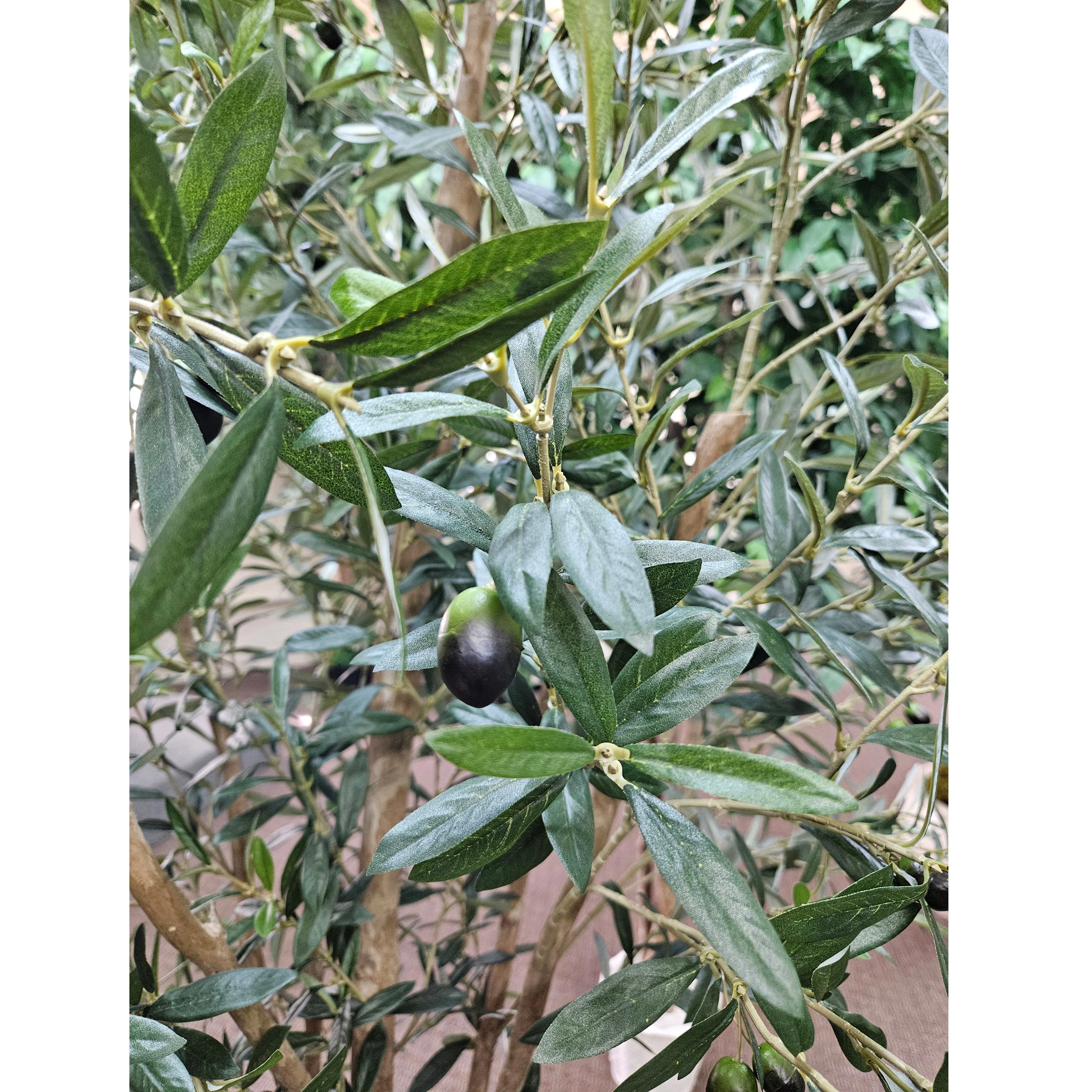 7'6" Silk Olive Tree With Olives w/Pot -Green - Image 6