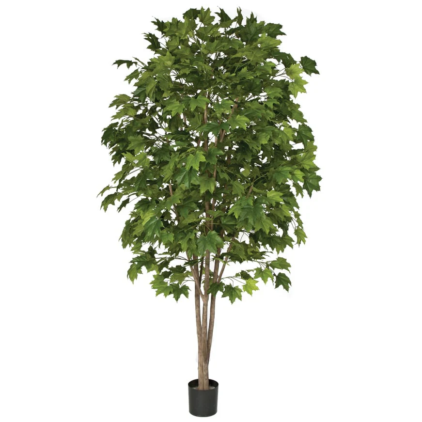 7'6" Sugar Maple Silk Tree w/Pot -Green