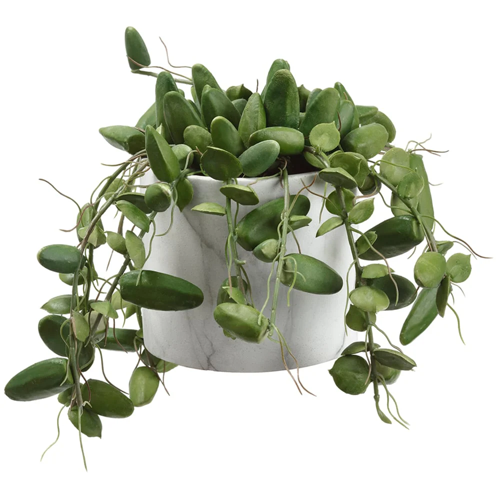 7"Hx13" Artificial Dischidia Succulent Plant w/Pot -Green
