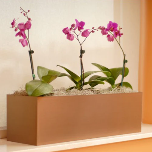 7"Hx24"W to 7"Hx30"W Vista Metallic Rectangle Planter - Image 3
