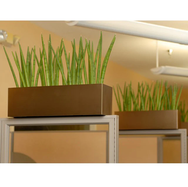 7"Hx24"W to 7"Hx30"W Vista Metallic Rectangle Planter - Image 4