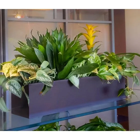 7"Hx24"W to 7"Hx30"W Vista Metallic Rectangle Planter - Image 6
