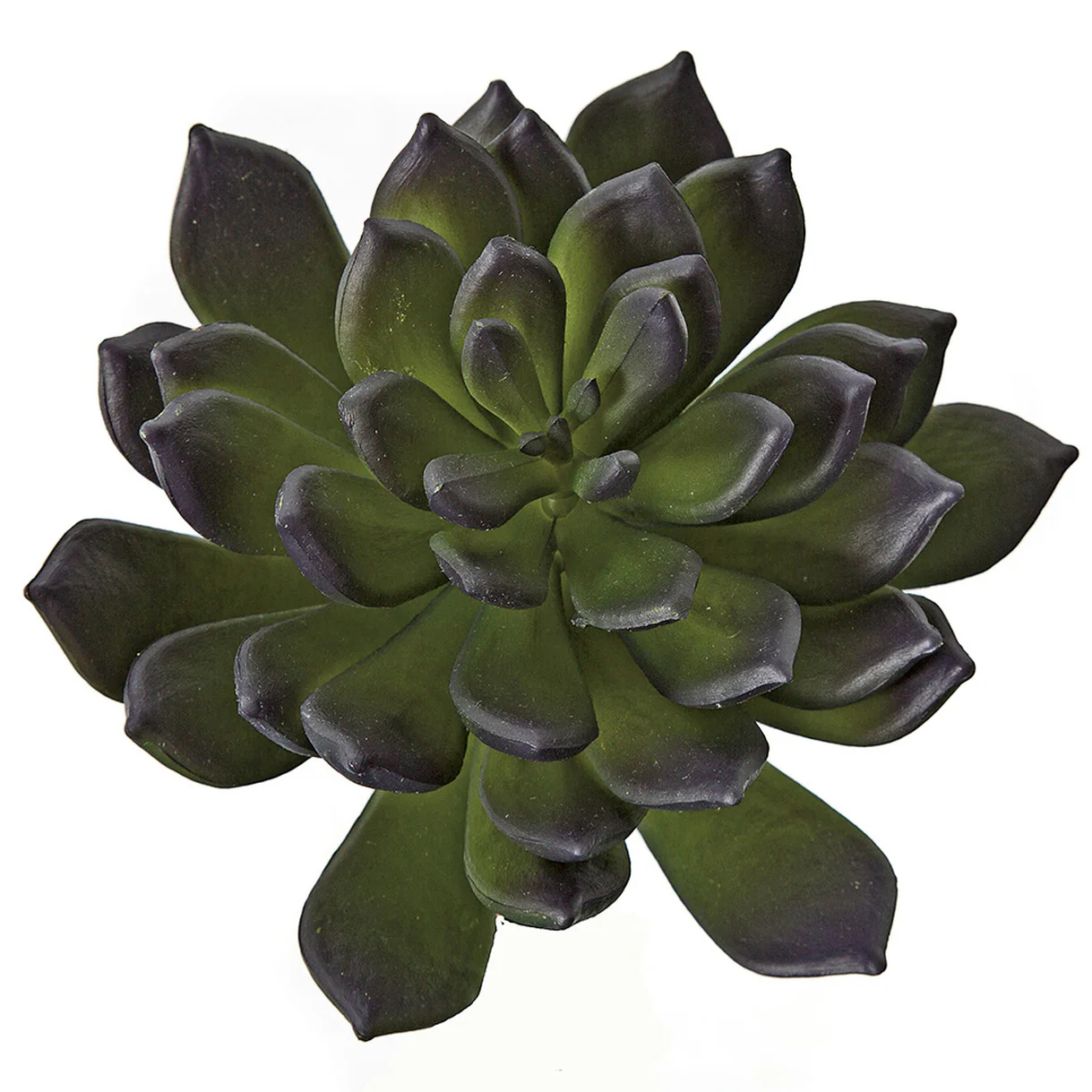 7"HX6"W IFR Artificial Echeveria Stem -Purple/Green (Pack of 12) - Image 2