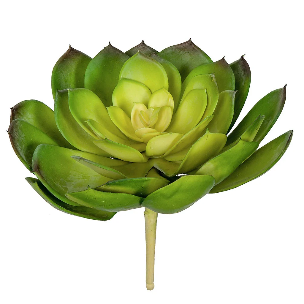7"HX8"W Artificial Echeveria Stem -Green/Yellow (Pack of 6) - Image 2