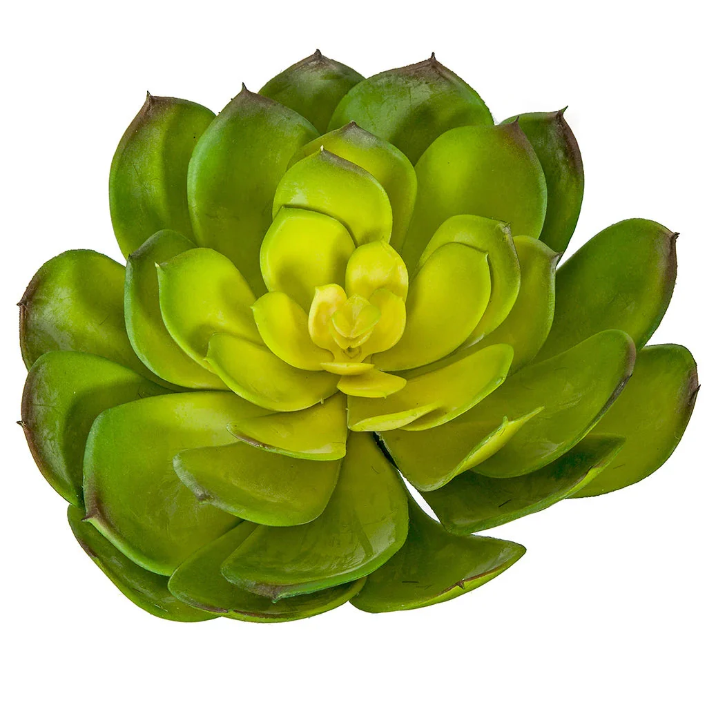 7"HX8"W Artificial Echeveria Stem -Green/Yellow (Pack of 6) - Image 3