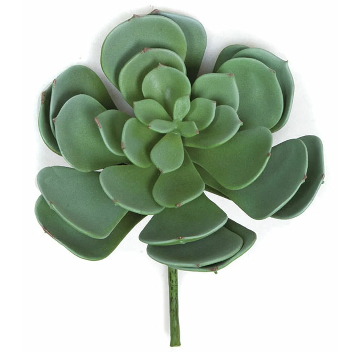 7"Hx8"W Echeveria Artificial Stem -Green (Pack of 12)