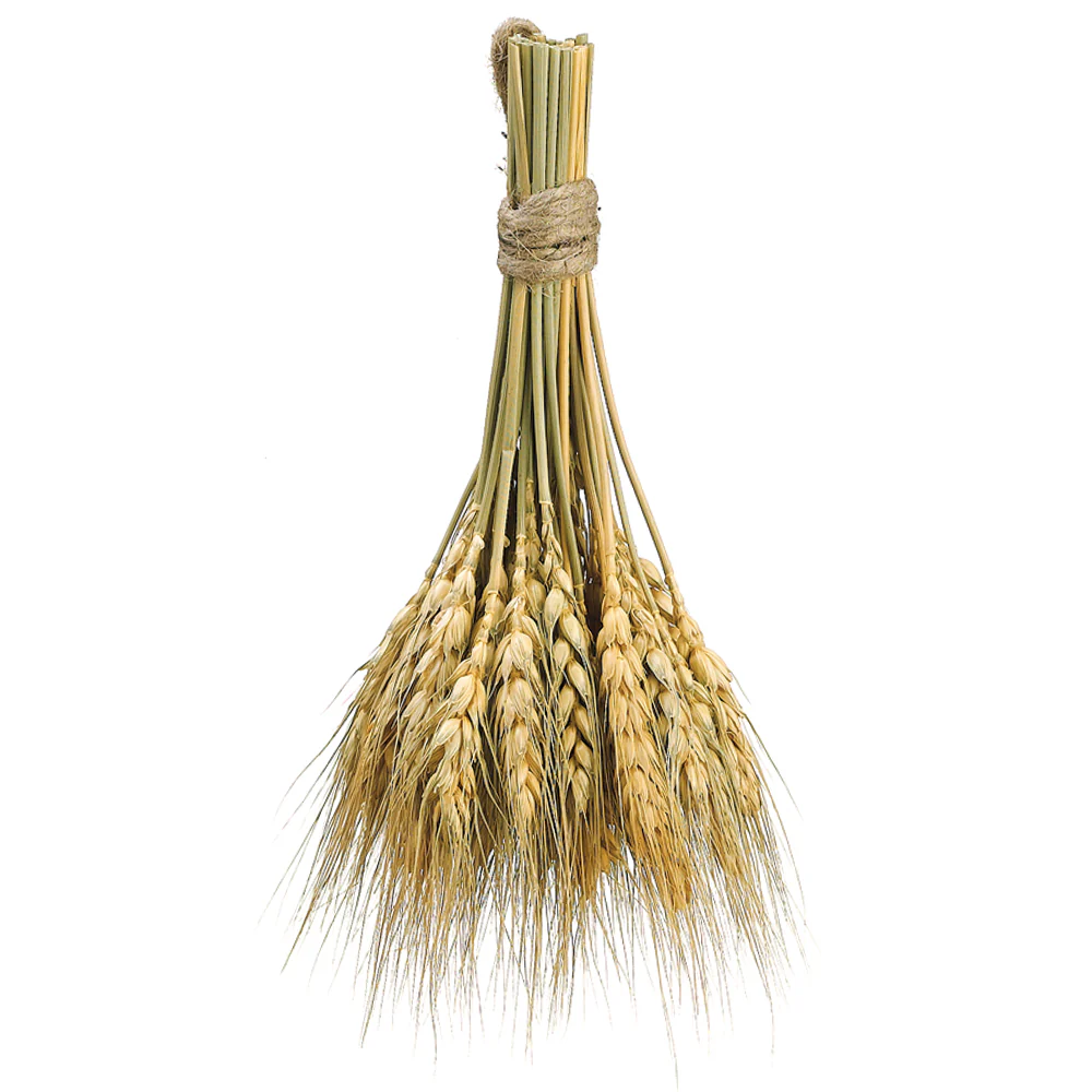 8.2" Preserved Wheat Stem Bundle -Natural (Pack of 6)