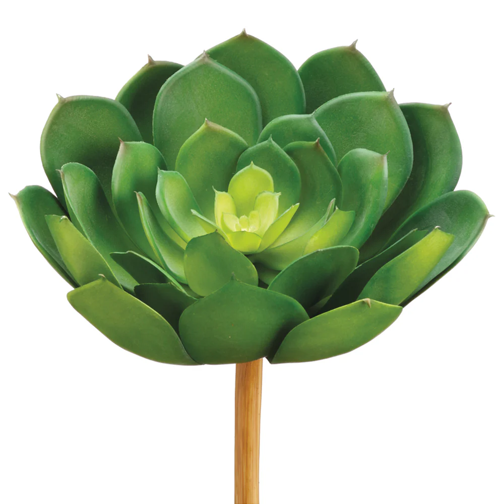 8.3" Real Touch Echeveria Artificial Stem Pick -Green (Pack of 12)