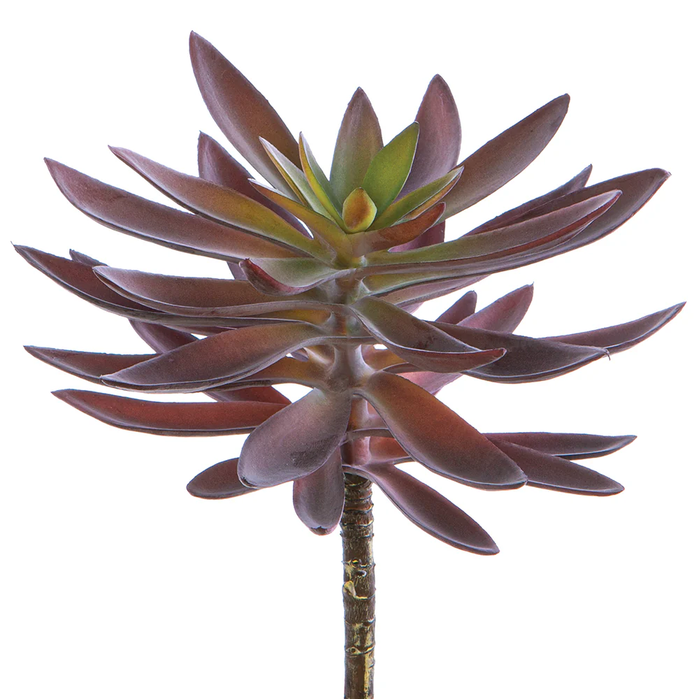 8.5" Agave Artificial Stem Pick -Burgundy/Green (Pack of 6)