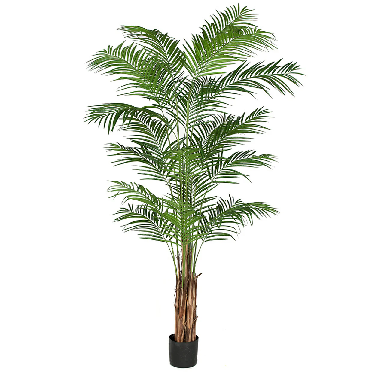 8' Areca Silk Palm Tree -Green