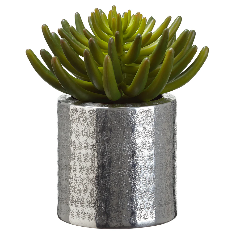 8" Artificial Aeonium Succulent Plant w/Aluminum Pot -Green