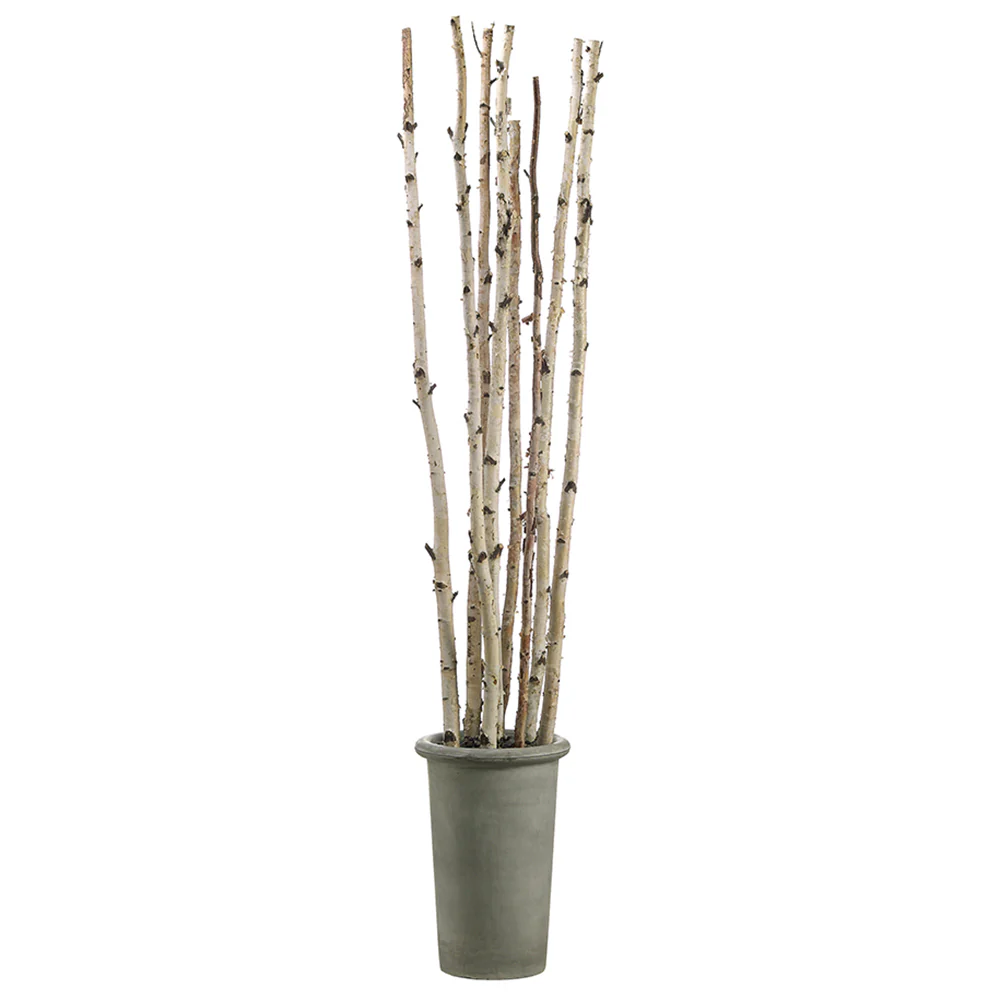 8' Birch Pole Artificial Tree w/Fiber Cement Container -Ivory