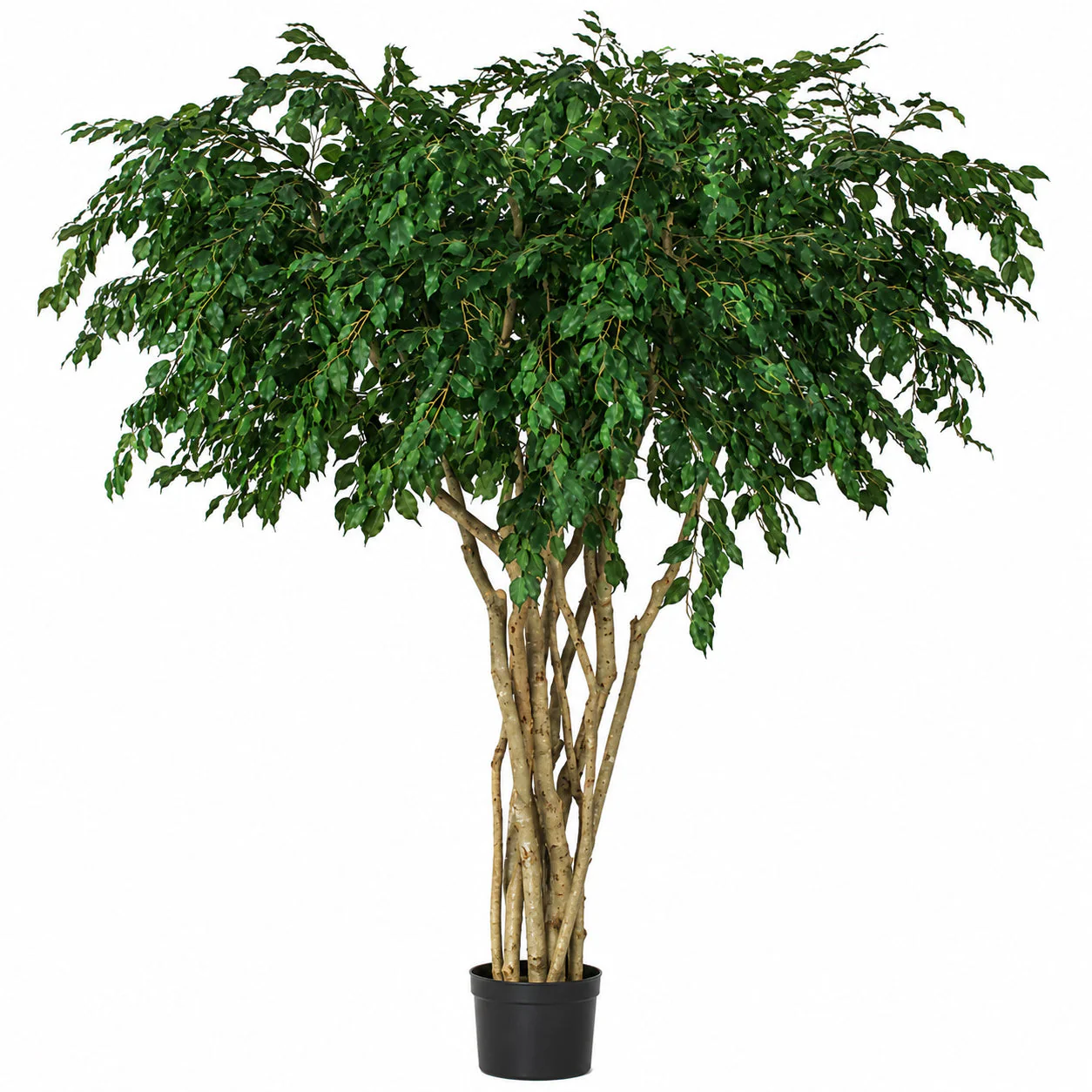 8' Custom-Made Ficus Artificial Tree w/Pot -5,472 Leaves -Green
