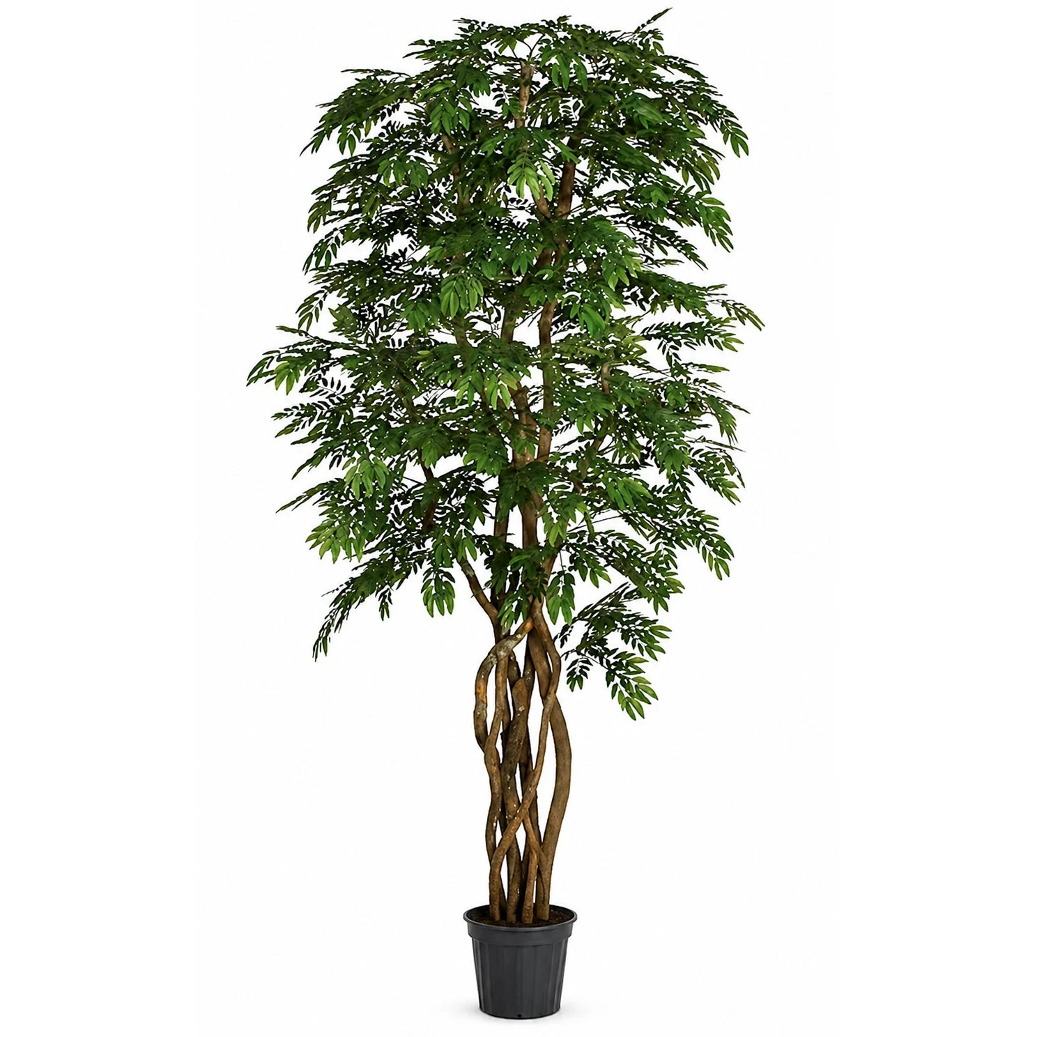 8' Custom-Made Locust Artificial Tree w/Pot -11,340 Leaves -Green