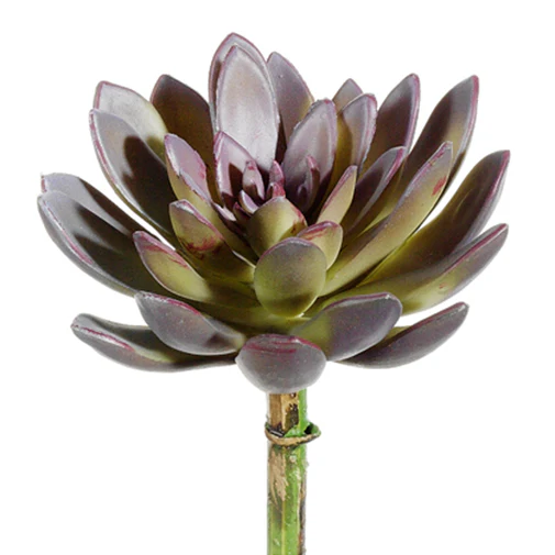 8" Echeveria Artificial Stem Pick -Purple/Green (Pack of 12)