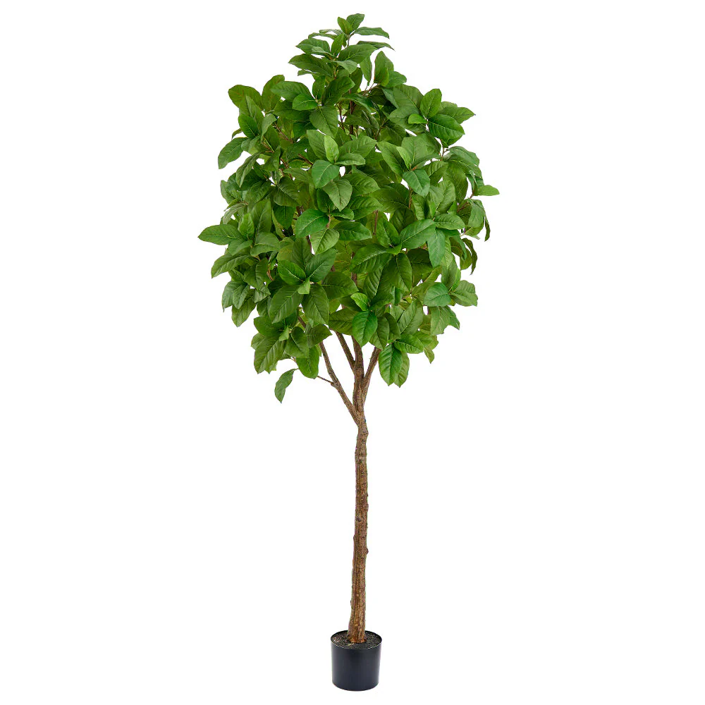 8' Ficus Elastica Leaf Silk Tree w/Pot -Green