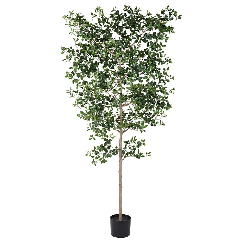 8' Ficus Moclame Leaf Silk Tree w/Pot -Green