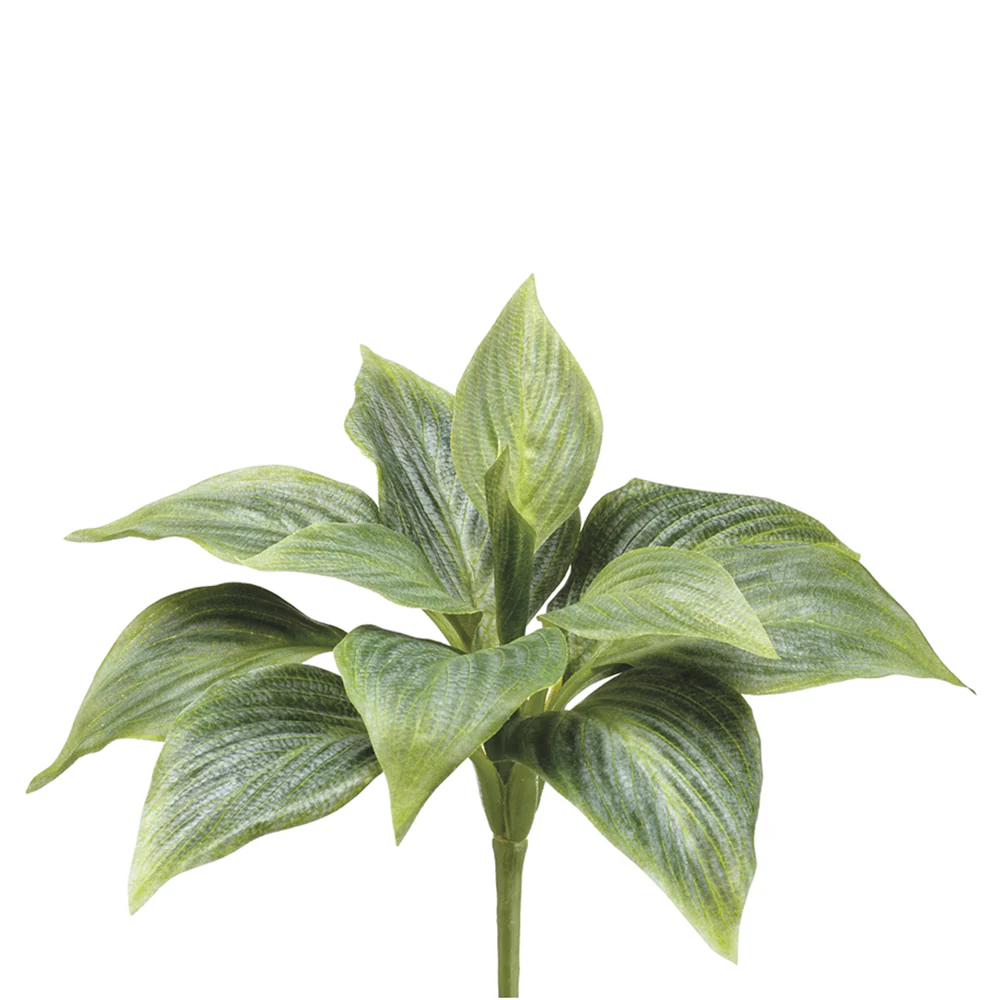 8" Hosta Silk Plant -Green (Pack of 12)