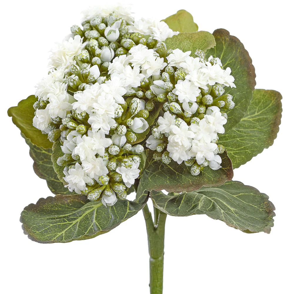 8" Kalanchoe Silk Flower Bush -White (Pack of 24)
