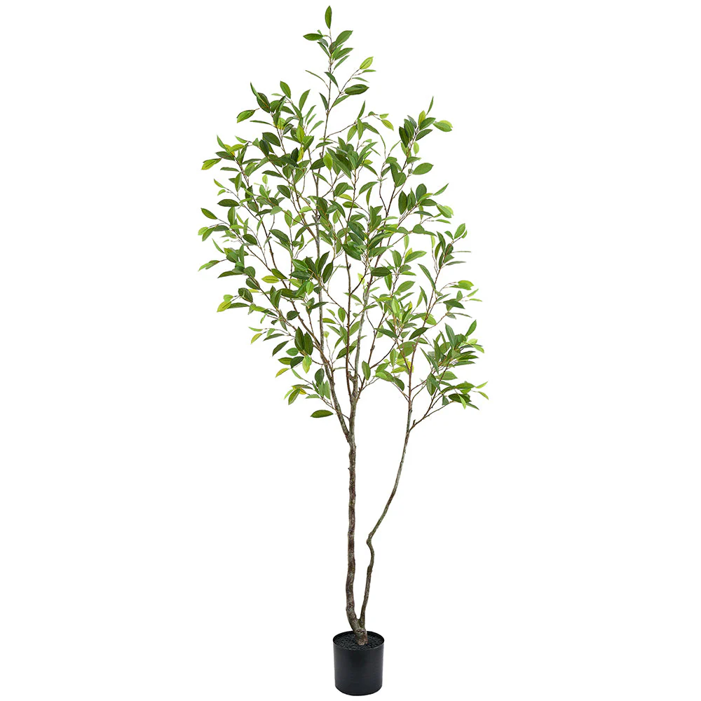8' Laurel Silk Tree w/Pot -Green