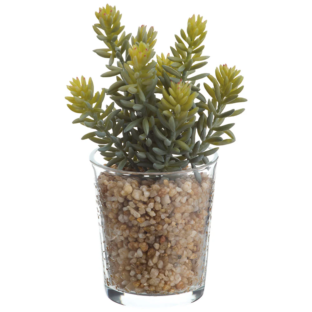8" Real Touch Sedum Succulent Artificial Plant w/Glass Vase -Green/Gray (Pack of 6)