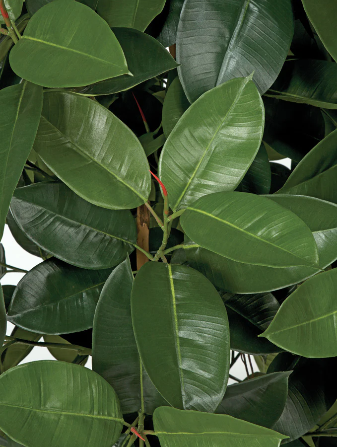 8' Rubber Silk Tree w/Pot -Green - Image 2
