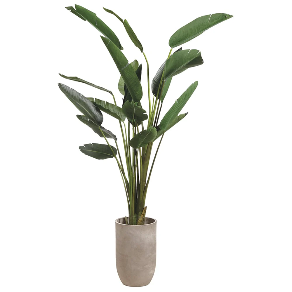 8' Silk Bird Of Paradise Palm Tree w/Cement Planter -Green