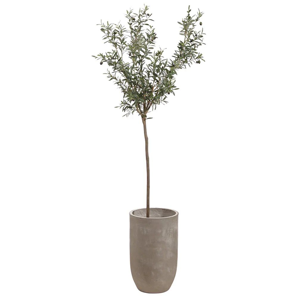 8' Silk Olive & Berry Tree w/Cement Planter -Green