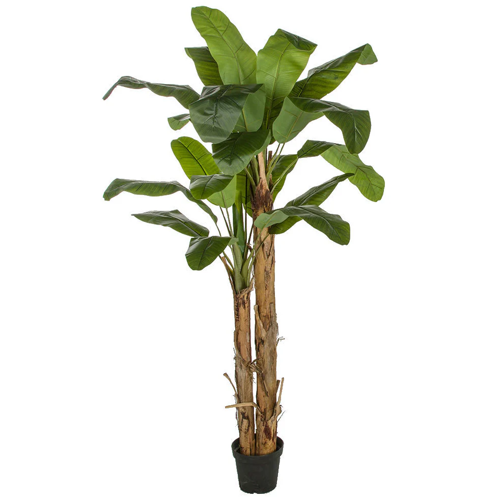8' Soft-Touch Silk Banana Double Trunk Palm Tree w/Pot -Green