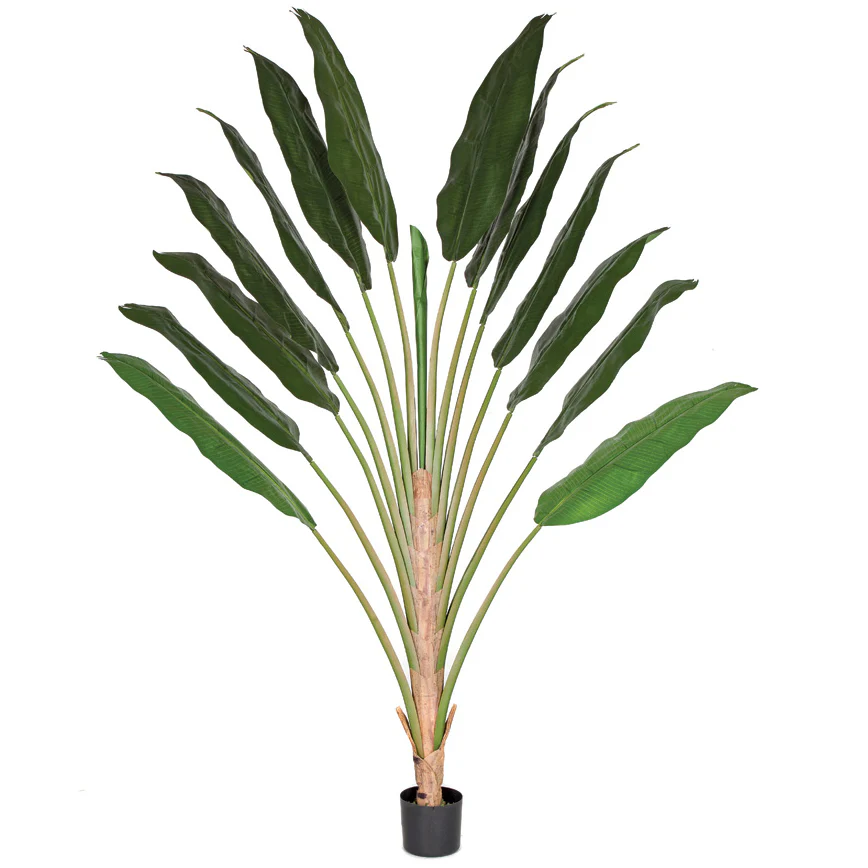 8' Travelers Silk Palm Tree w/Pot -Green