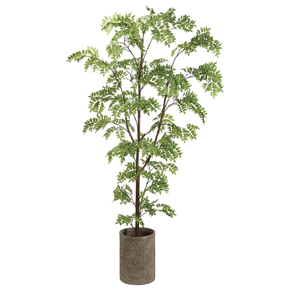 8' Wisteria Silk Tree w/Fiber Cement Planter -Green
