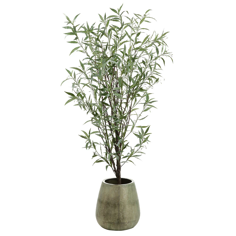 8'1" Ruellia Silk Tree w/Textured Planter -Green