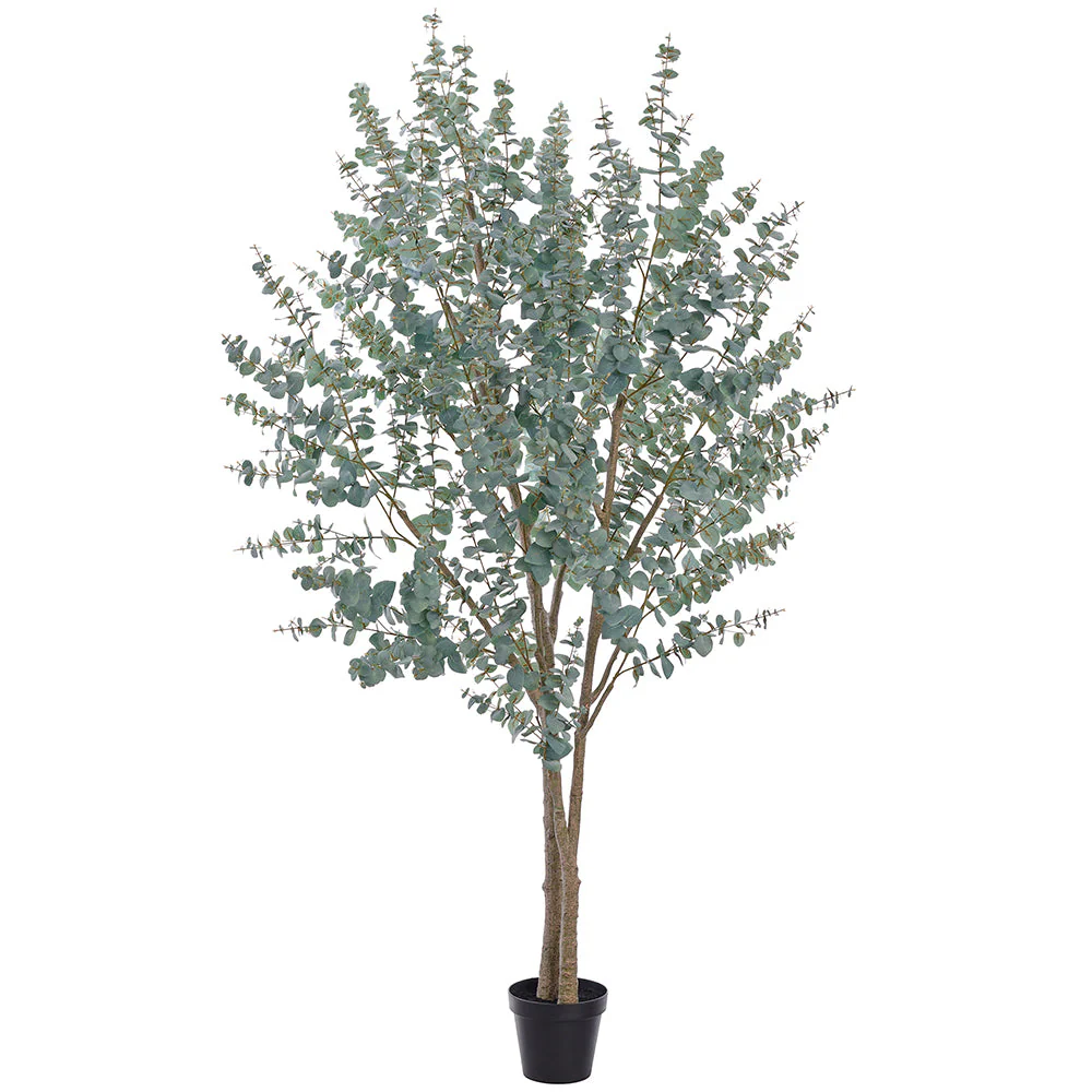 8'10" Eucalyptus Leaf Silk Tree w/Pot -Green/Gray