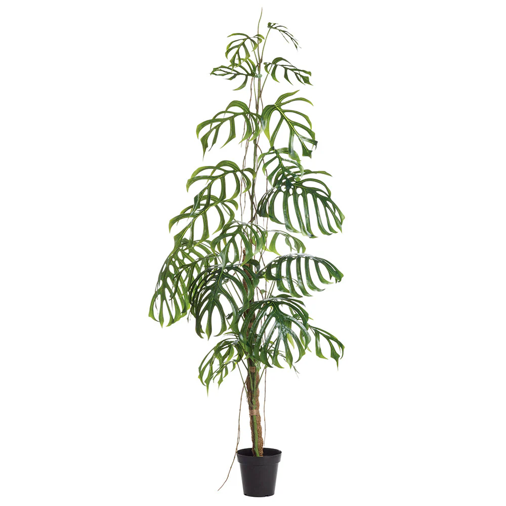 8'3" Monstera Dilacerata Leaf Silk Plant w/Plastic Pot -Green