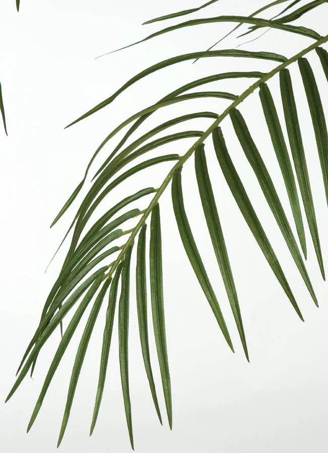 8'6" Phoenix Double Trunk Silk Palm Tree w/Pot -Green - Image 2