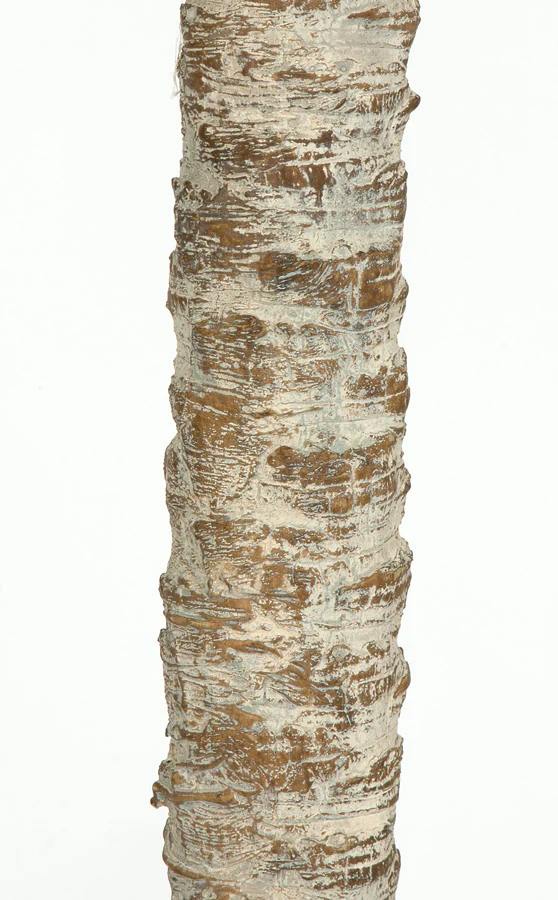 8'6" Phoenix Double Trunk Silk Palm Tree w/Pot -Green - Image 4