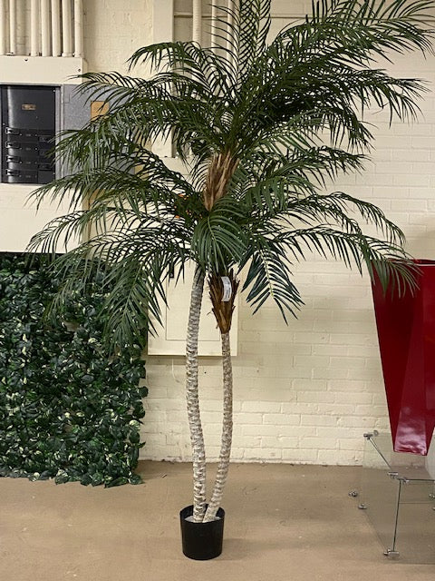 8'6" Phoenix Double Trunk Silk Palm Tree w/Pot -Green - Image 5