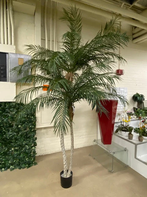 8'6" Phoenix Double Trunk Silk Palm Tree w/Pot -Green - Image 6