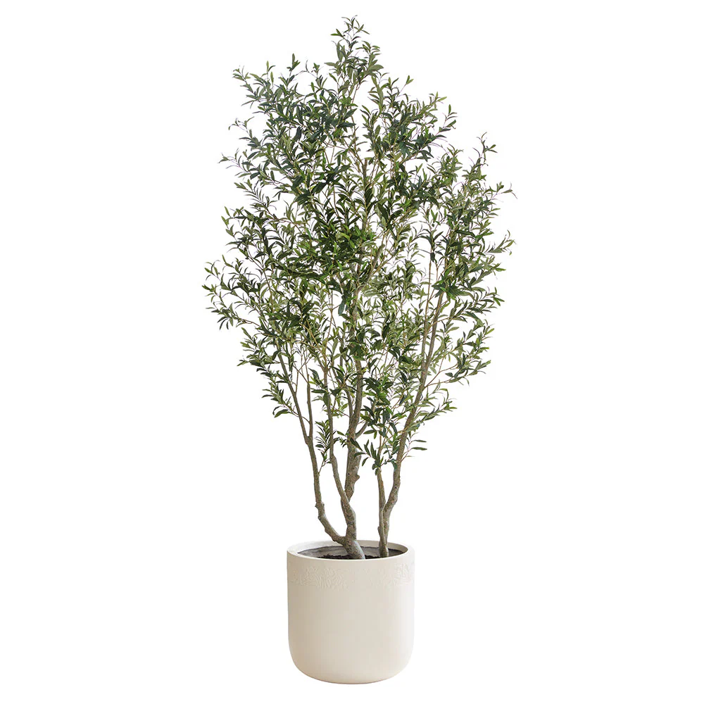 8'8" Flowering Olive Leaf Silk Tree w/Fiber Clay Planter -Green