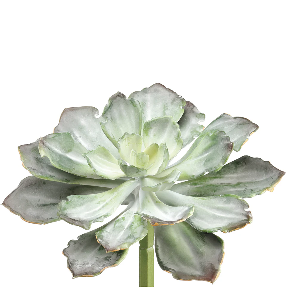 8"Hx10.5"W Real Touch Echeveria Artificial Stem Pick -Green/Gray (Pack of 8)