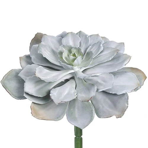 8"Hx14"W Echeveria Artificial Stem Pick -Gray/Green (Pack of 6)