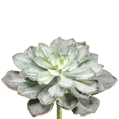 8"Hx14"W Echeveria Artificial Stem Pick -Green/Gray (Pack of 6)