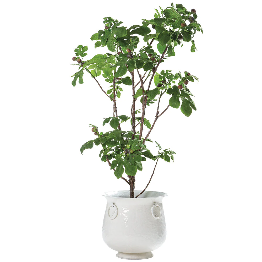 8'Hx48"W Fruiting Fig Leaf Artificial Tree w/Aluminum Planter -Green