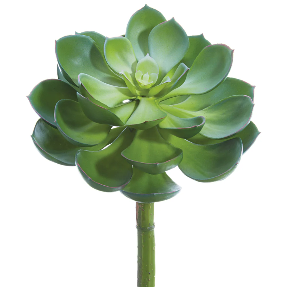 8"Hx6.5"W Echeveria Artificial Stem Pick -Green/Gray (Pack of 12)