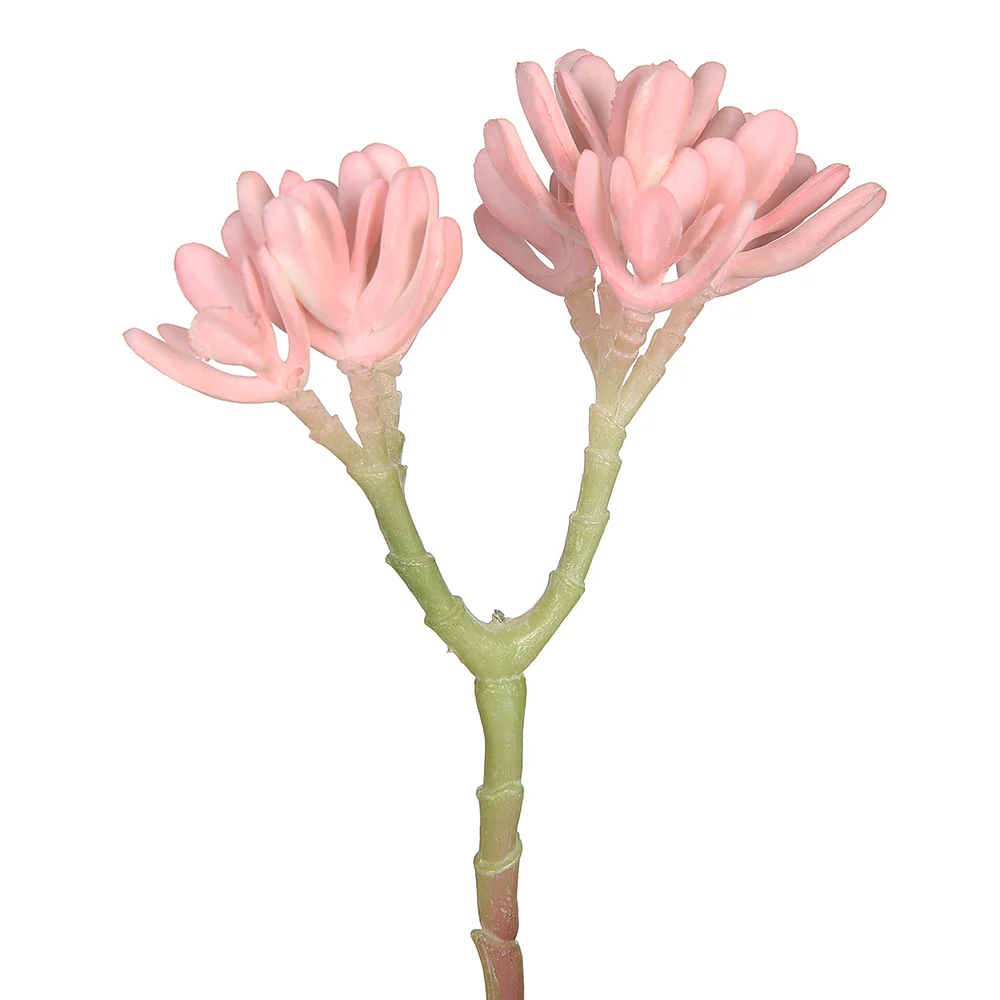 9.5" Artificial Aeonium Stem Pick -Blush (Pack of 12)