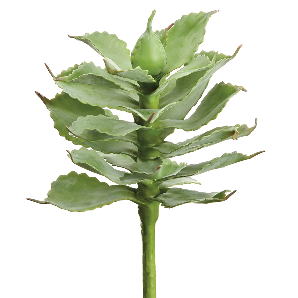 9.5" Artificial Agave Stem Pick -Green/Gray (Pack of 12)