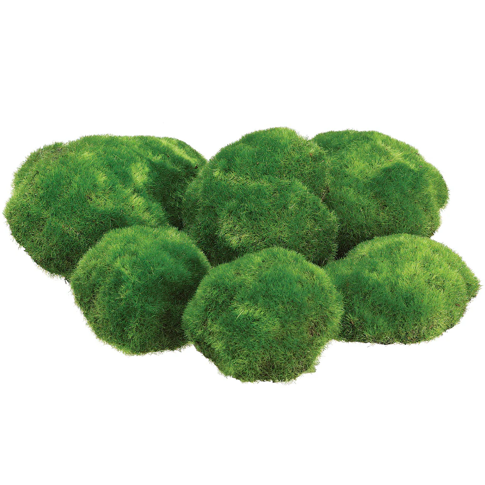 9.5" Bagged Assorted Moss Bun-Shaped Artificial Topiary -Green (Pack of 6)
