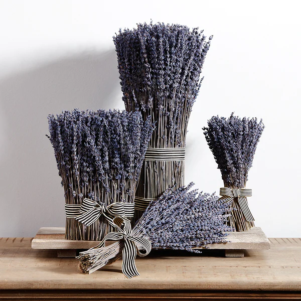 9.5" Preserved Lavender Flower Standing Arrangement Bundle -Lavender (Pack of 6) - Image 2