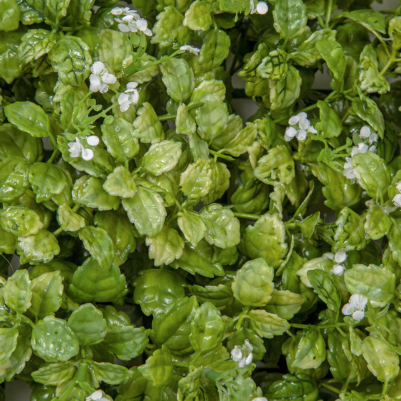 9.75"x9.75" Artificial Flowering Lemon Leaf Mat -Green/White (Pack of 6) - Image 3
