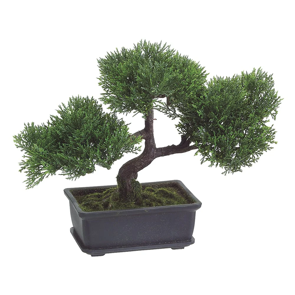 9" Artificial Cedar Silk Bonsai Tree w/Rectangle Pot -Green (Pack of 6)